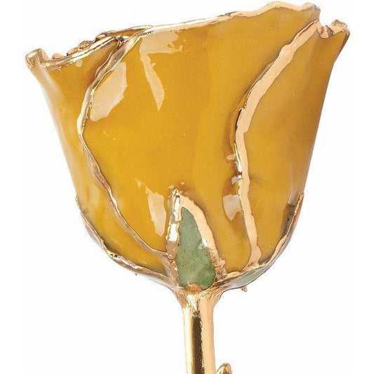 JDSP61-9093 -Lacquered Yellow Topaz Colored Rose with Gold Trim - Johnny Dang & Co
