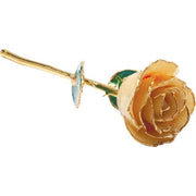 JDSP61-10032 - Lacquered Solid Color Rose - Johnny Dang & Co