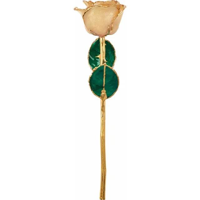 JDSP61-10032 - Lacquered Solid Color Rose - Johnny Dang & Co