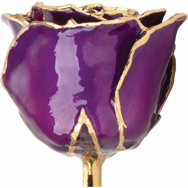 JDSP61-9056 - Lacquered Purple Rose with Gold Trim - Johnny Dang & Co