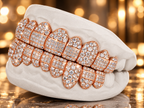 JDWR- GV1030-Honeycomb Prong / INVISBALE Set Diamond Grill