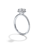 Halo Pave