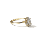 Halo