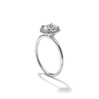 Halo