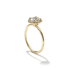 Halo
