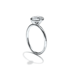 Unbridaled Bezel