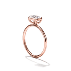 Unbridaled Bezel