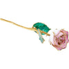 JDSP61-9061 LACQUERED CREAM PICASSO ROSE WITH GOLD TRIM - Johnny Dang & Co