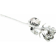 JDSP61-9165 - Platinum Hand-Plated Rose - Johnny Dang & Co