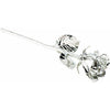 JDSP61-9165 - Platinum Hand-Plated Rose - Johnny Dang & Co