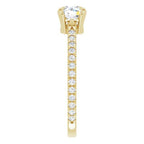 JDTKSP-124080 - Johnny Dang & Co