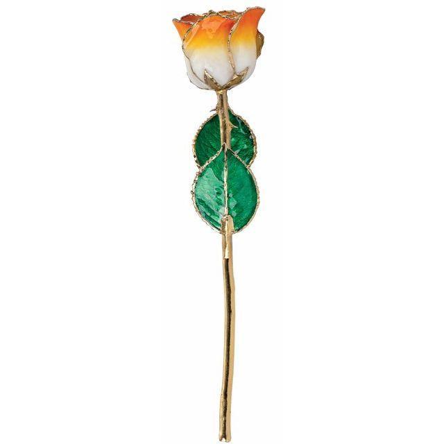 JDSP 61-9042 - Lacquered Cream Orange Rose with Gold Trim - Johnny Dang & Co