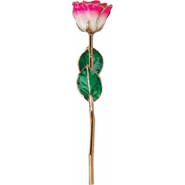JDSP61-9043-Lacquered Cream Magenta Rose with Gold Trim - Johnny Dang & Co