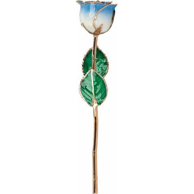 JDSP61-9044 - Lacquered Cream Blue Rose with Gold Trim - Johnny Dang & Co