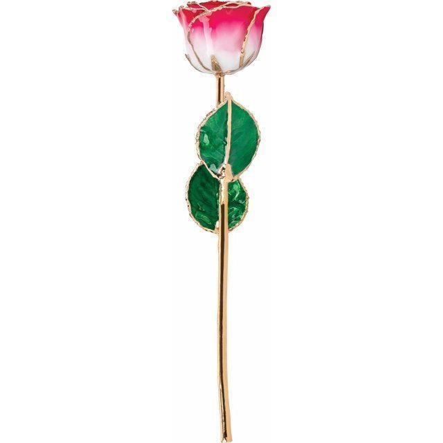 JDSP61-9048 -Lacquered Cream Red Rose with Gold Trim - Johnny Dang & Co