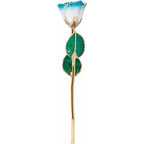 JDSP61-9049 - Lacquered Cream Turquoise Rose with Gold Trim - Johnny Dang & Co