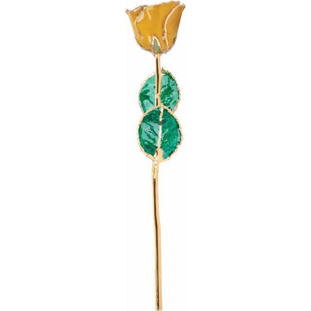 JDSP61-9093 -Lacquered Yellow Topaz Colored Rose with Gold Trim - Johnny Dang & Co