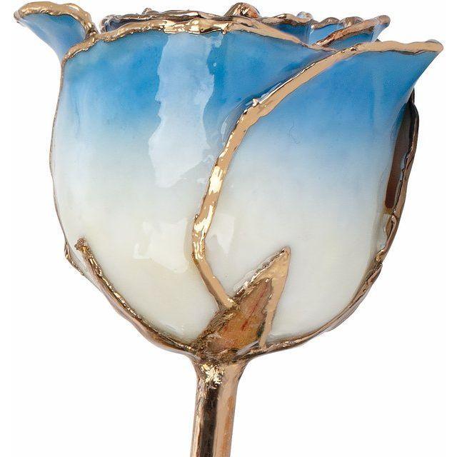 JDSP61-9044 - Lacquered Cream Blue Rose with Gold Trim - Johnny Dang & Co