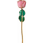JDSP61-9132 - Lacquered Pink Sparkle Rose with Gold Trim - Johnny Dang & Co