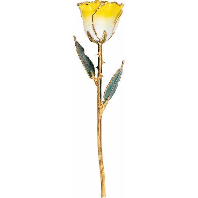 JDSP61-9064 - Lacquered Cream Yellow Rose with Gold Trim - Johnny Dang & Co