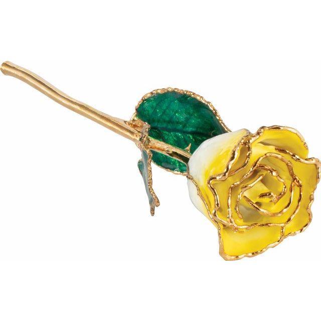 JDSP61-9064 - Lacquered Cream Yellow Rose with Gold Trim - Johnny Dang & Co