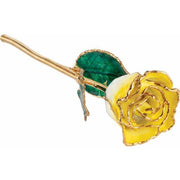 JDSP61-9064 - Lacquered Cream Yellow Rose with Gold Trim - Johnny Dang & Co