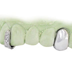 JDG61A TWO SOLID WITH BACK BAR AND DIAMOND GAP FILLER - Johnny Dang & Co