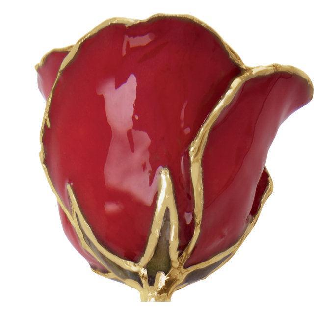 JDSP61-9141 LACQUERED RED ROSE WITH GOLD TRIM - Johnny Dang & Co